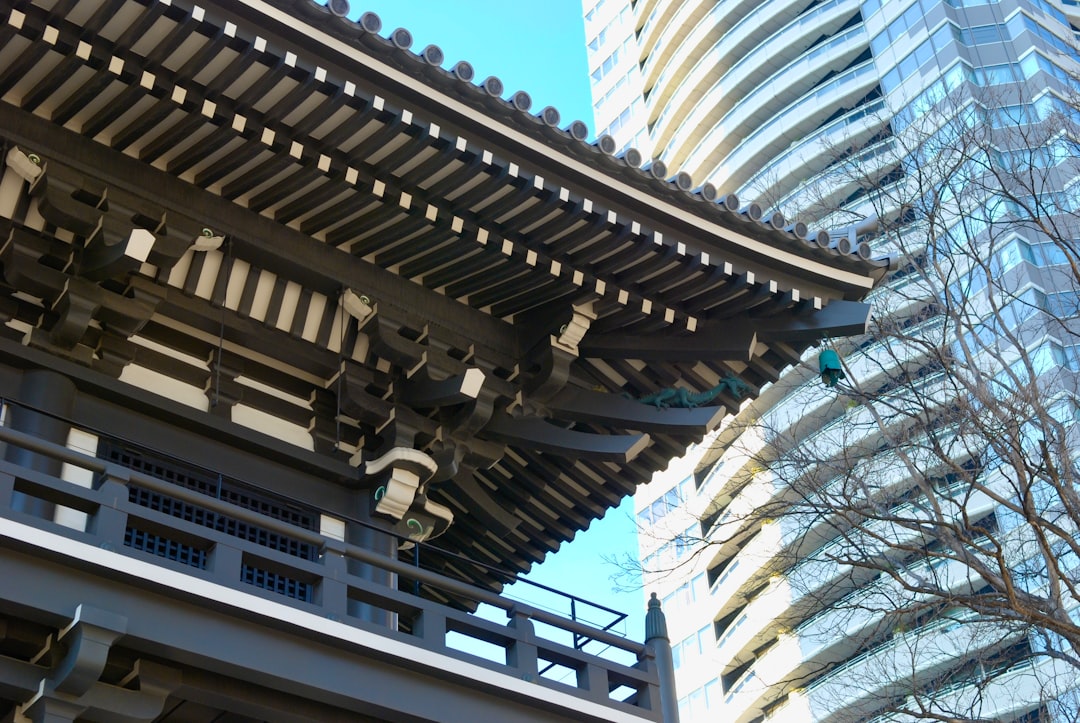 Rooftop pool in Tokyo